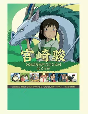 夏之青春宜昌动漫音乐会