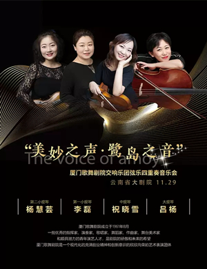 石倚洁西安音乐会