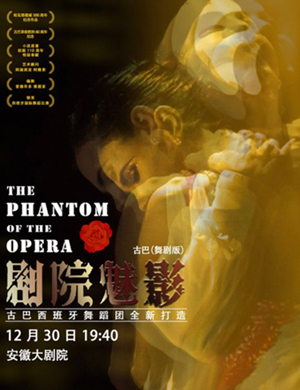 2019舞剧剧院魅影合肥站