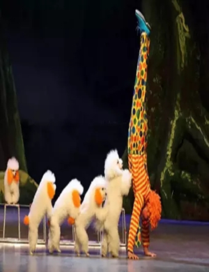 舞台剧小丑动物嘉年华唐山站