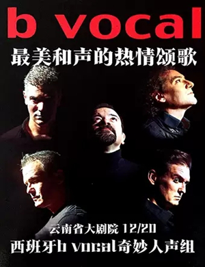 b vocal奇妙人声组昆明音乐会