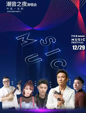 2019杜德伟葛林合肥群星演唱会