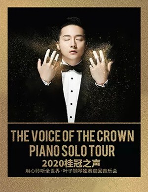 叶子钢琴独奏陵水音乐会