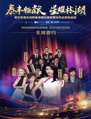 陈慧琳汤宝如动力火车钦州演唱会