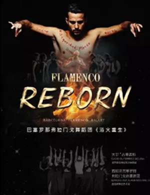 舞剧浴火重生成都站