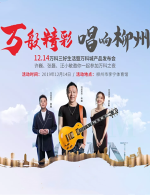 2019许巍张磊汪小敏柳州演唱会