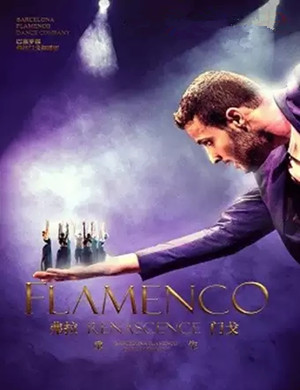 舞蹈弗拉门戈之重生舟山站