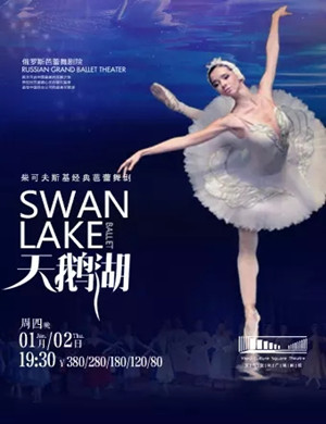 芭蕾舞剧天鹅湖金华站