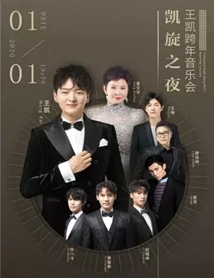 王凯北京跨年音乐会