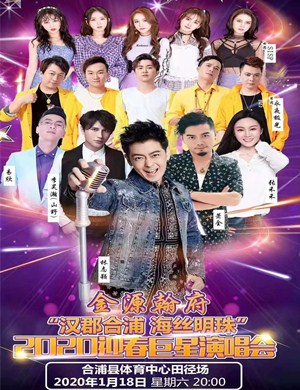 2020林志颖山野SISP北海演唱会