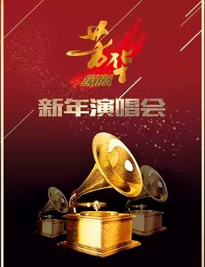 芳华上海新年演唱会