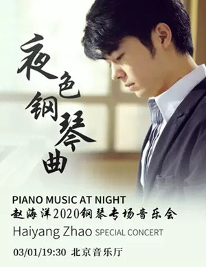 2020赵海洋北京音乐会