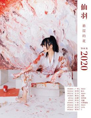 仙羽南昌演唱会