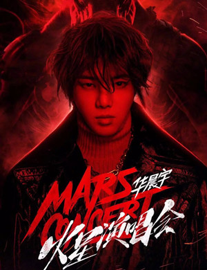 2025华晨宇大连演唱会