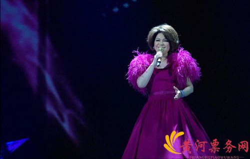 2023蔡琴郑州演唱会门票