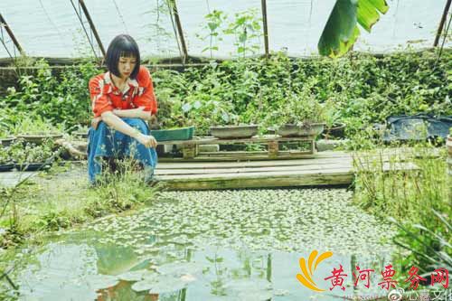谢春花