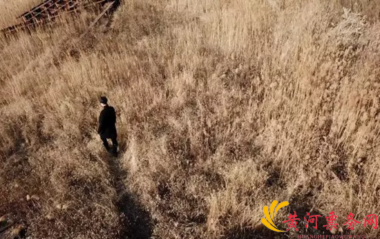 陈泓宇