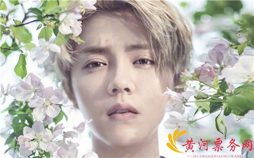 鹿晗