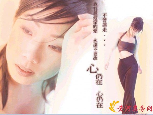 “林忆莲演唱会”/