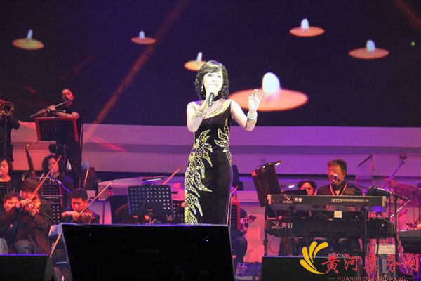 陈佳演唱会现场