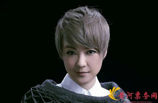 2017陈慧娴武汉演唱会