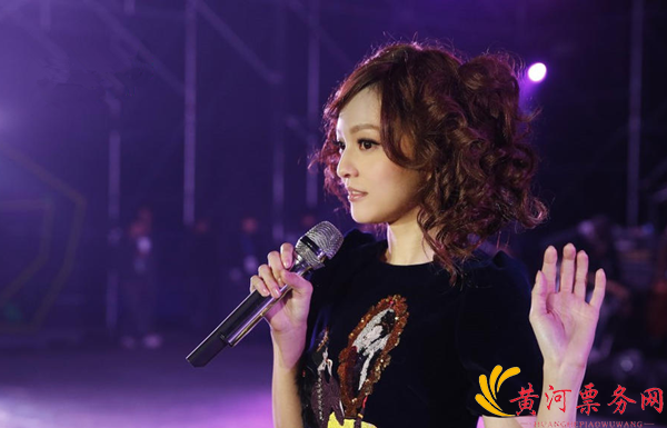 2017张韶涵纯粹Remix巡回演唱会-西安站 2017张韶涵纯粹Remix巡回演唱会-西安站