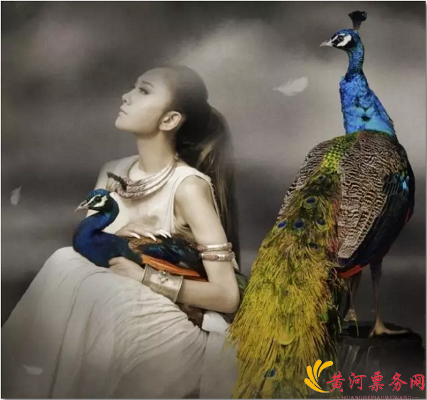 2017舞剧《云南映象》郑州站