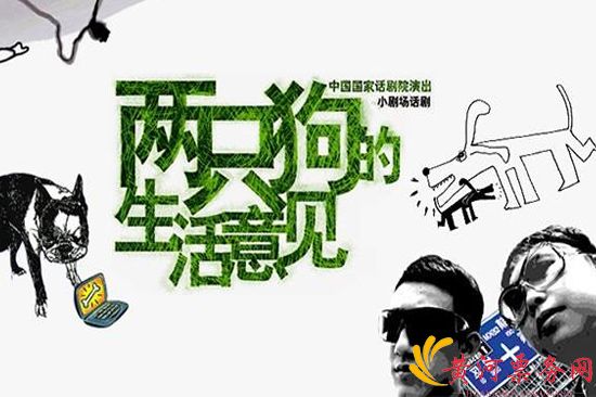 两只狗的生活意见