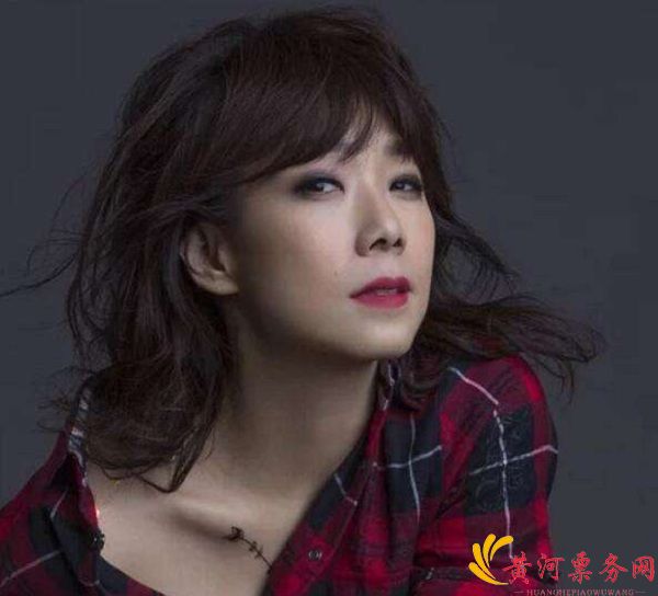 2017林忆莲PRANAVA造乐者世界巡回演唱会 武汉站 2017林忆莲PRANAVA造乐者世界巡回演唱会 武汉站