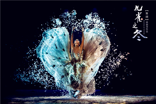 舞剧《孔雀之冬》