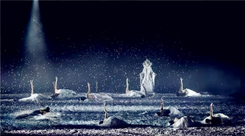 舞剧《孔雀之冬》