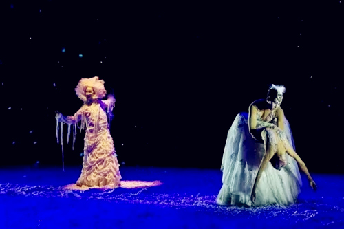 舞剧《孔雀之冬》