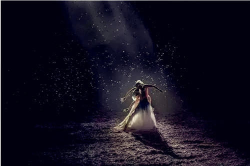 舞剧《孔雀之冬》