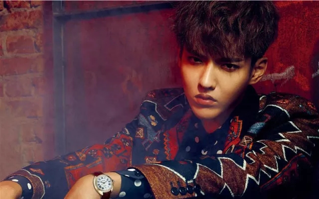 2019吴亦凡北京演唱会