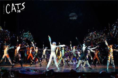2021世界经典原版音乐剧《猫》上海站详情介绍+门票价格 2021世界经典原版音乐剧《猫》上海站详情介绍+门票价格
