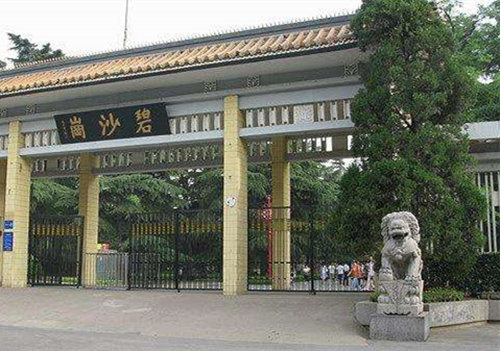 2018喜剧《碧沙岗往事》郑州站