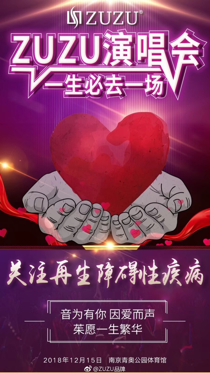 2018南京ZUZU品牌庆典演唱会