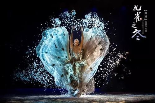 舞剧《孔雀之冬》