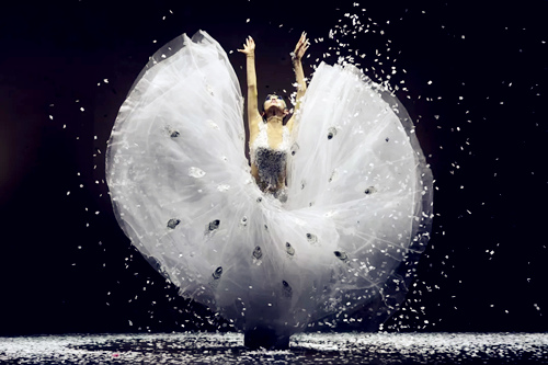 舞剧《孔雀之冬》