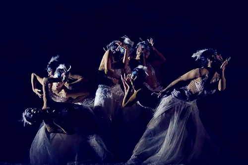 舞剧《孔雀之冬》