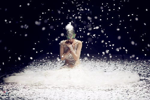 舞剧《孔雀之冬》