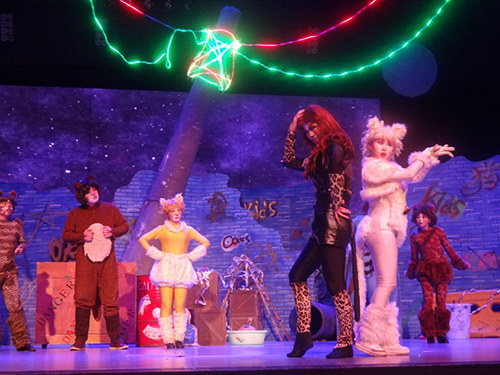 2023【小橙堡】经典亲子音乐剧《寻梦的猫》-深圳站