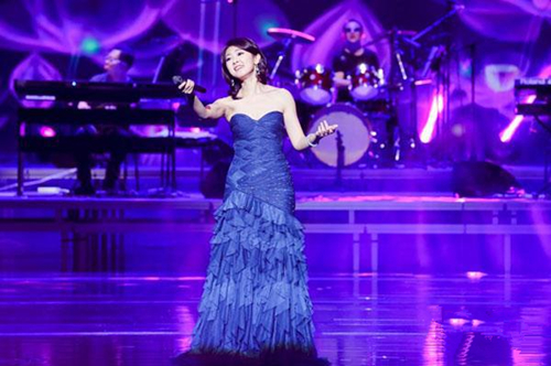 甜蜜蜜——2019邓丽君经典歌曲新年特别演唱会-芜湖站