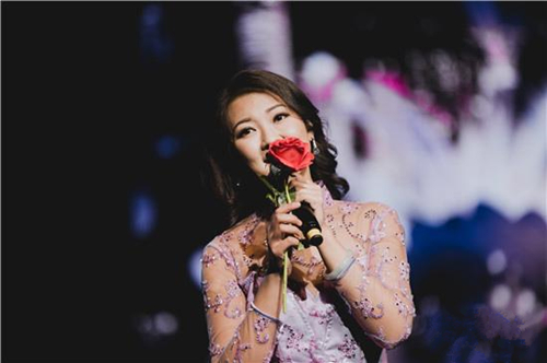 甜蜜蜜——2019邓丽君经典歌曲新年特别演唱会-芜湖站