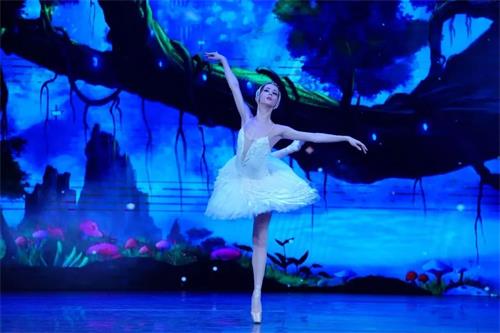 2021芭蕾舞剧《天鹅湖》深圳站门票价格及购票指南