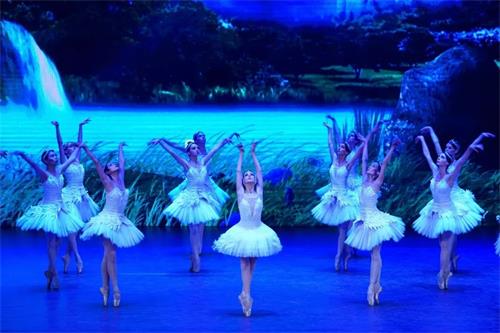 2021芭蕾舞剧《天鹅湖》深圳站门票价格及购票指南