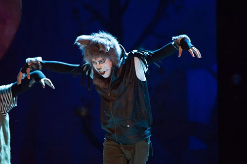 警犬汉克历险记