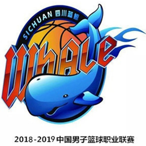 2018-2019CBA第39轮四川VS江苏成都站