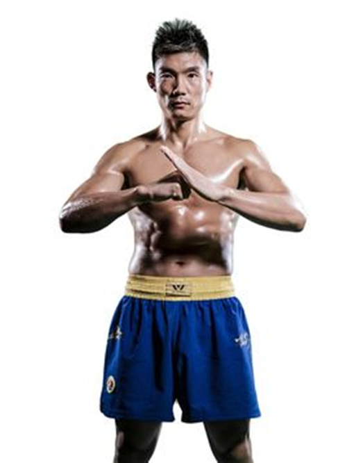 2019WLF武林风全球功夫盛典-海口站