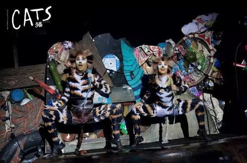 音乐剧猫CATS